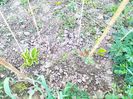 IMG20230415193122