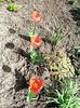 Img.2023.04.14
