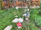 IMG20230417171447