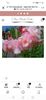 Screenshot_20230417_112656_com.facebook.katana