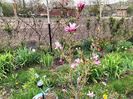 IMG20230420145744