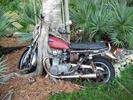 Lost Motorbike Found