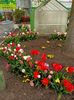 Img.2023.04.21
