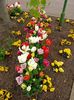 Img.2023.04.21