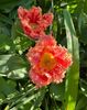D7917905-97FA-4D0B-8A78-CF51EDFE480D