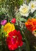 F7249508-3EBE-4765-B8D7-834CED432941