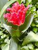 77B31B45-5CA3-4CD2-BCE6-901F3A906CEB