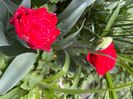B966D89B-97FC-471D-840C-508BB6286EE6