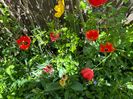 15722061-99C4-441C-A481-D976E928D09E