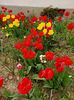 Img.2023.04.22