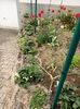 Img.2023.04.22
