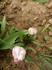 Img.2023.04.22
