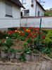 Img.2023.04.22