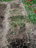 Img.2023.04.22