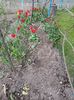Img.2023.04.22