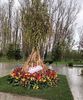 Ploua bine