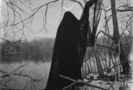 Ghosts of the Dead! have I not heard your yelling. Rise on the Nightーrolling breath of the blast,