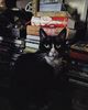 Elusive banshee queen of Shadows caught on camera, she‵s usually either lurking in the