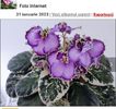 Screenshot_20230427-173839_Chrome