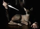 The ʂacrifice. I felt her presence, by its spell of might, Stoop o‵er me from above.