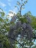 CA1DB275-82F1-4851-86E8-4443419882F3