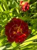 A1429246-402F-4269-BF44-26459ACA1E11