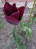 IMG-20230501-WA0341