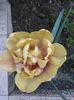IMG-20230501-WA0345