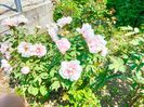 IMG20230503133526