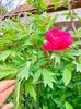 IMG20230503124723