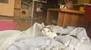 IMG-20211202-WA0005