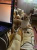IMG-20220402-WA0001