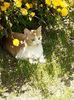 IMG-20220427-WA0003