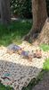 IMG-20220810-WA0012
