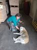 IMG-20220823-WA0013