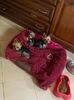 IMG-20221017-WA0005
