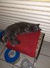 IMG-20221104-WA0020
