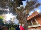 IMG-20221106-WA0004