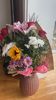 IMG-20221107-WA0001