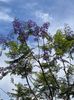 IMG-20221110-WA0002
