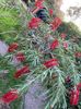 IMG-20221111-WA0020