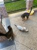IMG-20221114-WA0001