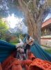 IMG-20221121-WA0028