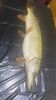 IMG-20221202-WA0014