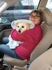 IMG-20221211-WA0001