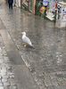IMG-20221220-WA0003