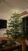 IMG-20221222-WA0000