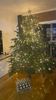 IMG-20221224-WA0001