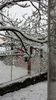 IMG-20221226-WA0002