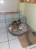 IMG-20221231-WA0000